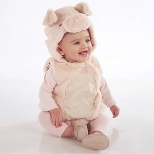 Pottery Barn Pig Costume